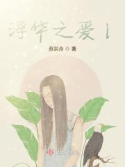 浮华之年什么意思